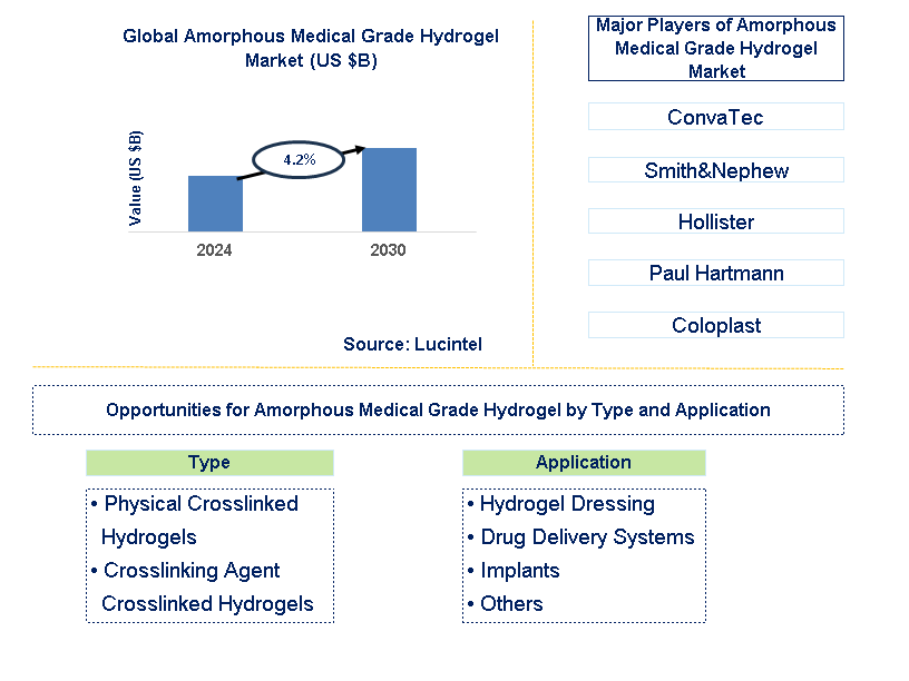 Amorphous Medical Grade Hydrogel Trends and Forecast