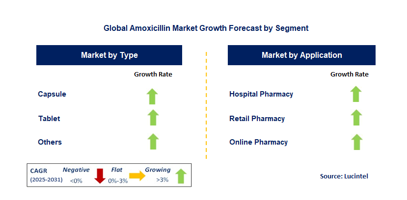 Amoxicillin Market by Segment