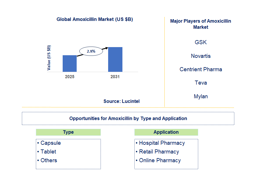 Amoxicillin Market Trends and Forecast