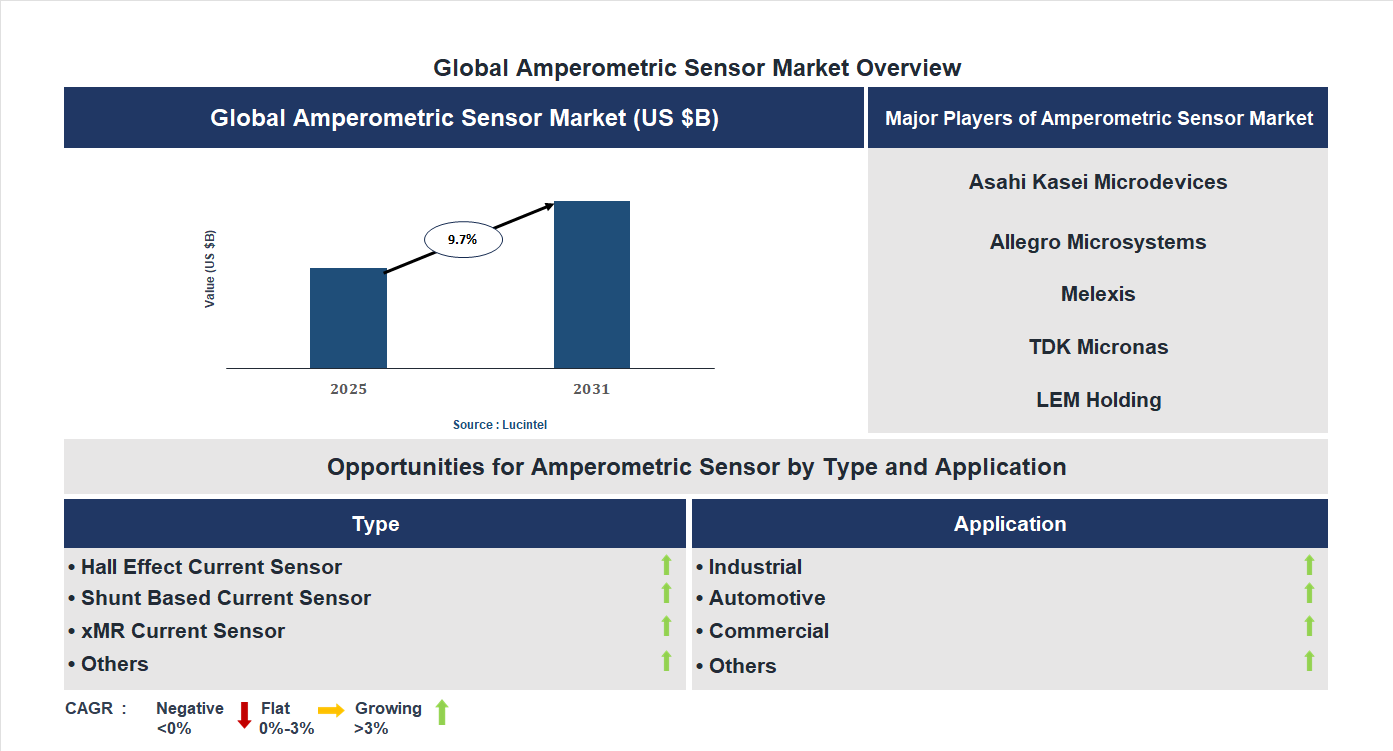Amperometric Sensor Market Trends and Forecast