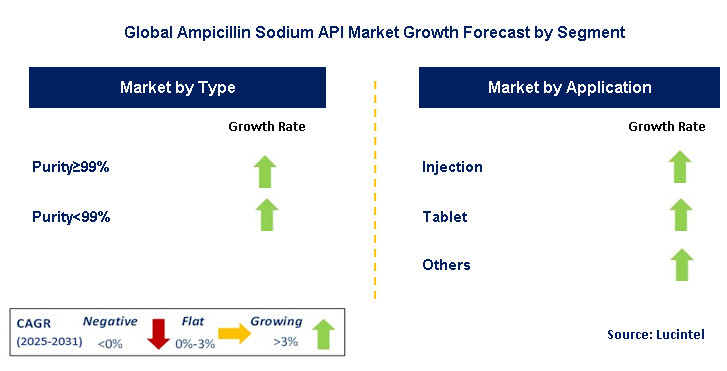 Ampicillin Sodium API Market by Segment