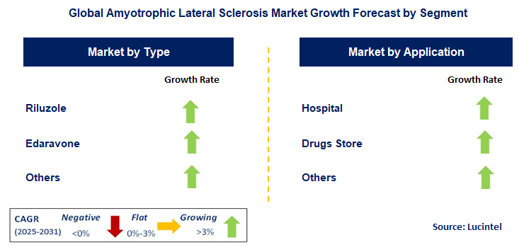 Amyotrophic Lateral Sclerosis Market by Segment