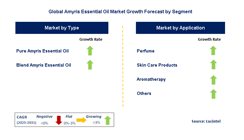 Amyris Essential Oil Market by Segment