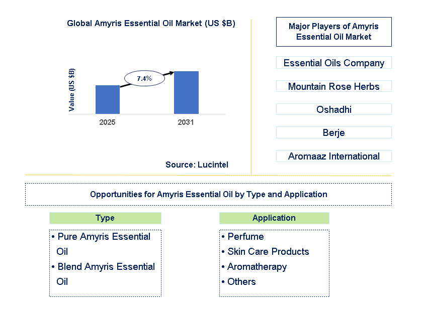 Amyris Essential Oil Market Trends and Forecast
