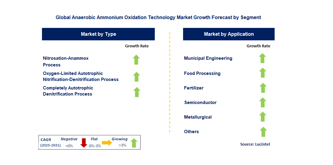 Anaerobic Ammonium Oxidation Technology Market by Segment