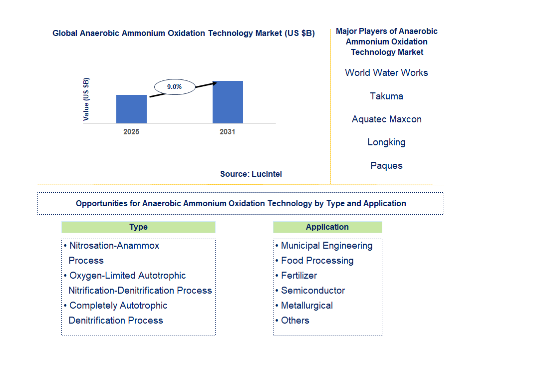 Anaerobic Ammonium Oxidation Technology Market Trends and Forecast