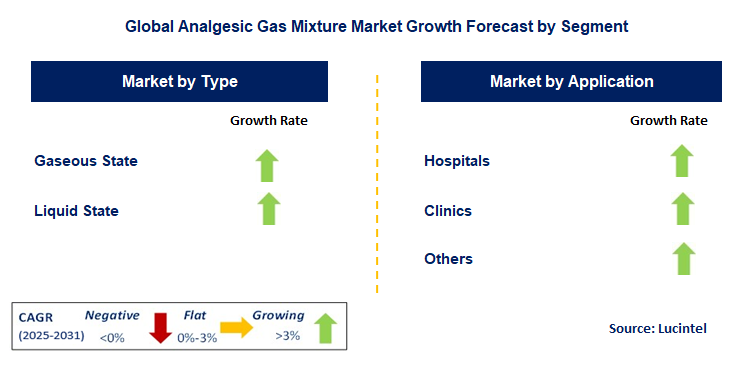 Analgesic Gas Mixture Market by Segment