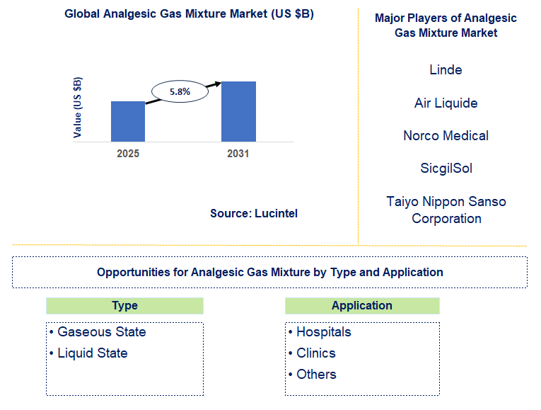 Analgesic Gas Mixture Market Trends and Forecast