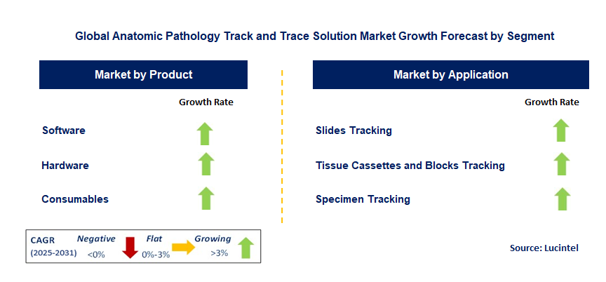 Anatomic Pathology Track and Trace Solution Market by Segment