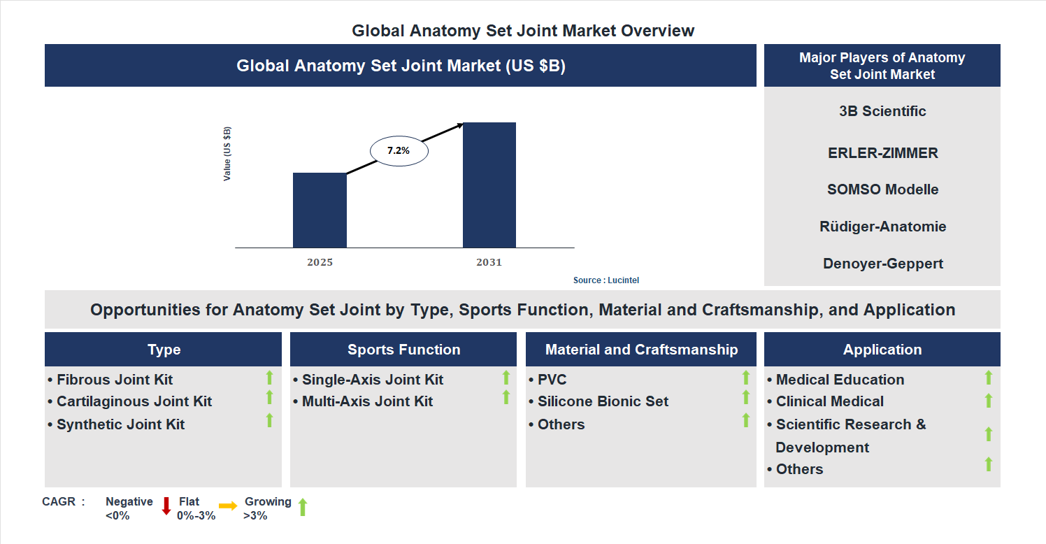 Anatomy Set Joint Market Trends and Forecast