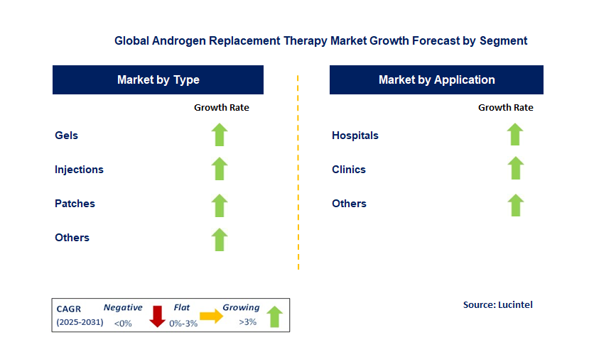 Androgen Replacement Therapy Market by Segment