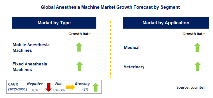 Anesthesia Machine Market by Segment
