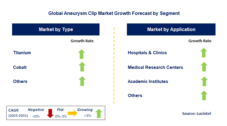 Aneurysm Clip Market by Segment