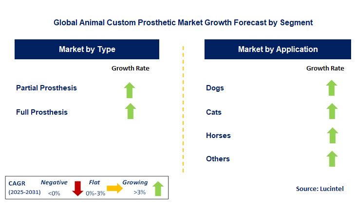 Animal Custom Prosthetic Market by Segment