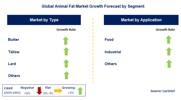 Animal Fat Market by Segment