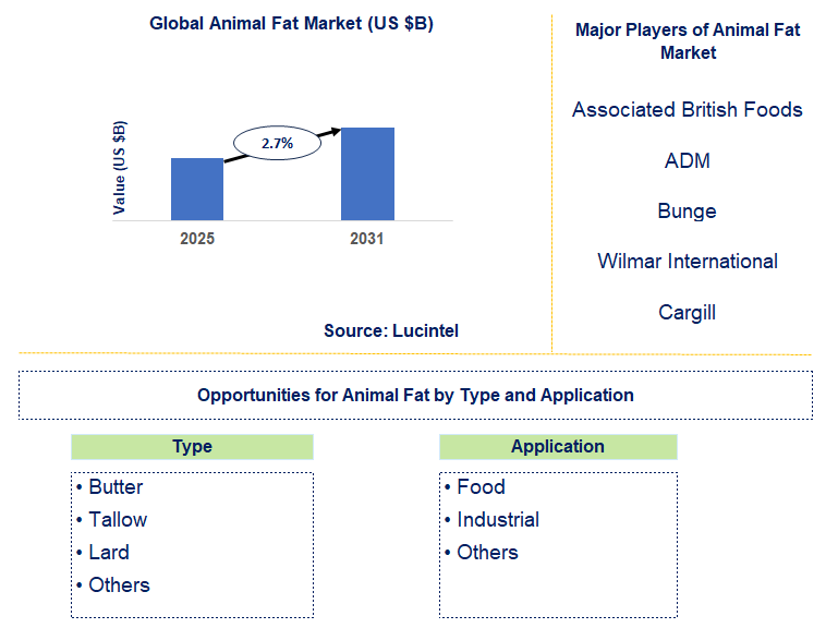 Animal Fat Market Trends and Forecast