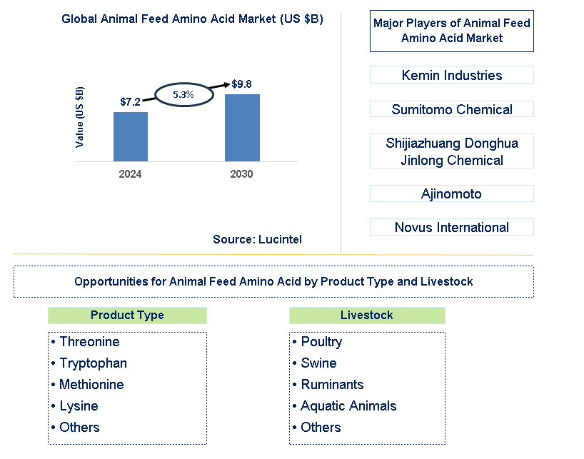 Animal Feed Amino Acid Trends and Forecast