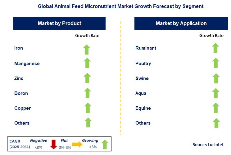 Animal Feed Micronutrient Market by Segment