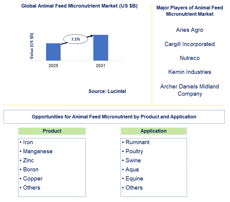 Animal Feed Micronutrient Market Trends and Forecast