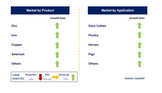 Animal Feed Organic Trace Mineral by Segment