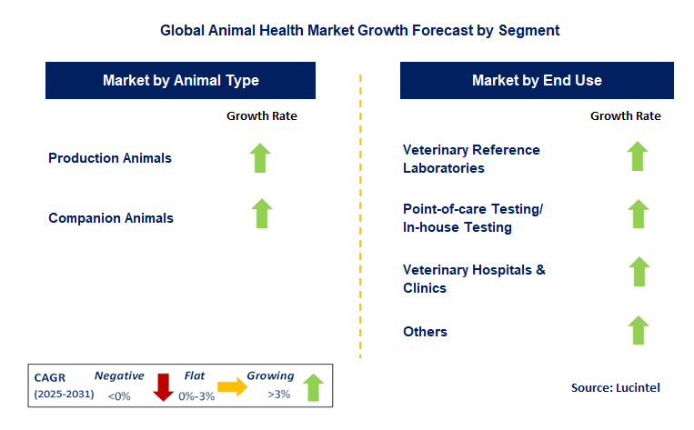 Animal Health Market by Segment