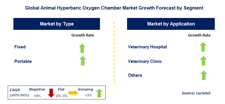 Animal Hyperbaric Oxygen Chamber Market by Segment