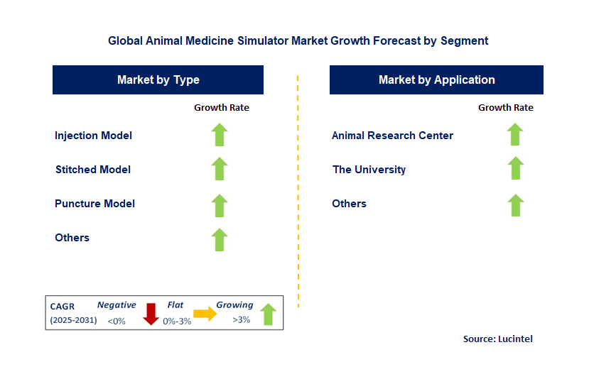 Animal Medicine Simulator Market by Segment