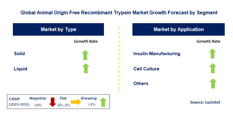 Animal Origin Free Recombinant Trypsin Market by Segment