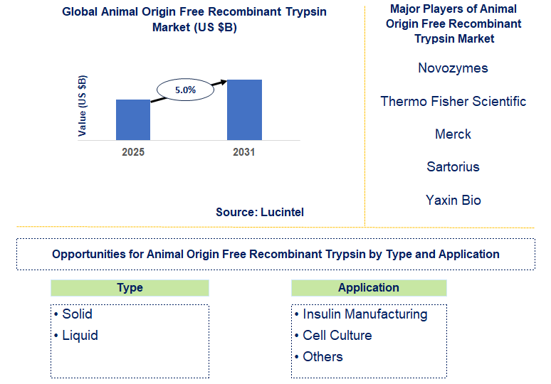 Animal Origin Free Recombinant Trypsin Market Trends and Forecast