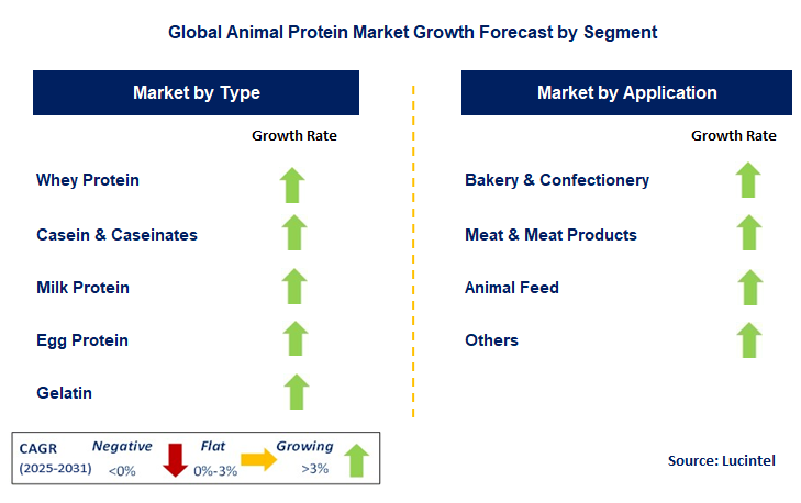 Animal Protein Market by Segment