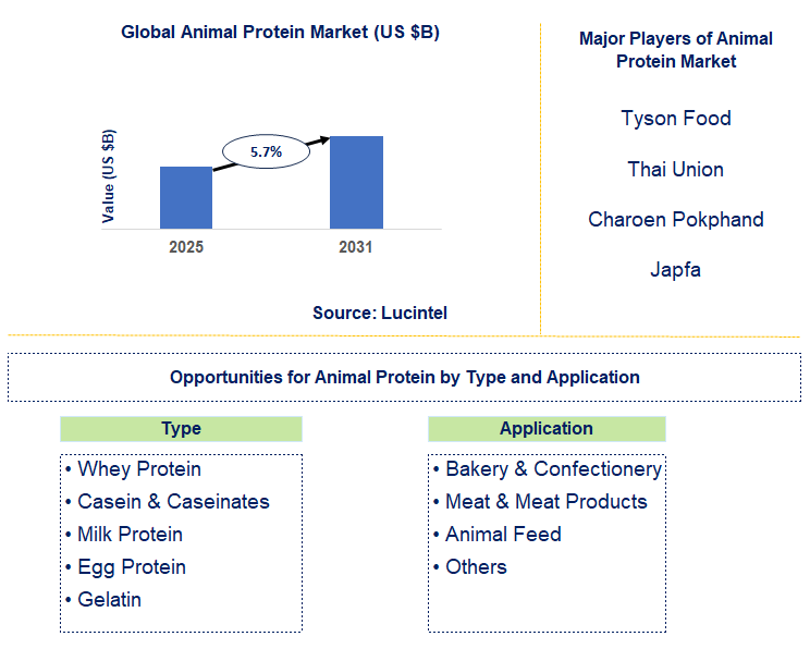 Animal Protein Market Trends and Forecast