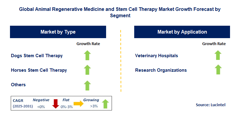 Animal Regenerative Medicine and Stem Cell Therapy Market by Segment