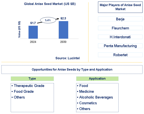 Anise Seed Market Trends and Forecast