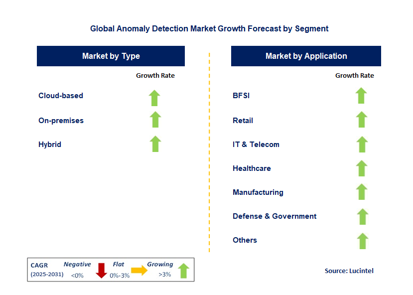 Anomaly Detection Market by Segment