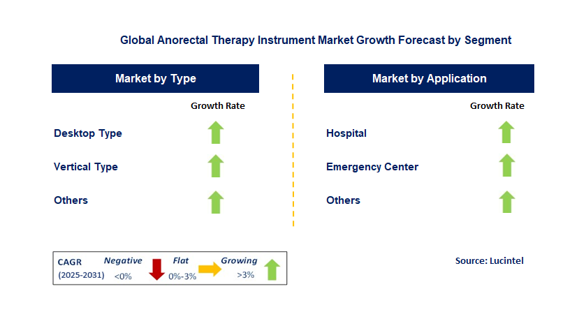 Anorectal Therapy Instrument Market by Segment