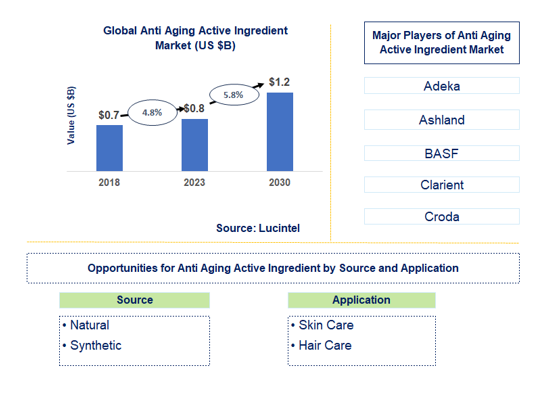 Anti Aging Active Ingredient Market