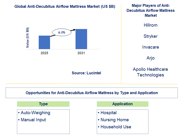 Anti-Decubitus Airflow Mattress Market Trends and Forecast
