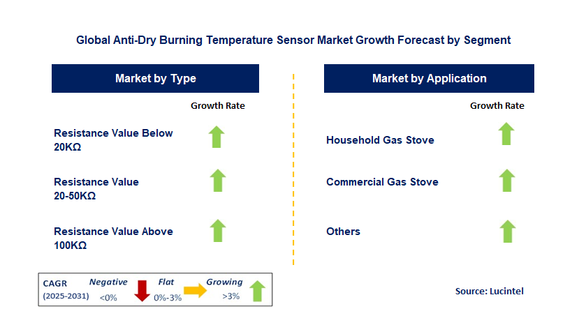Anti-Dry Burning Temperature Sensor Market by Segment