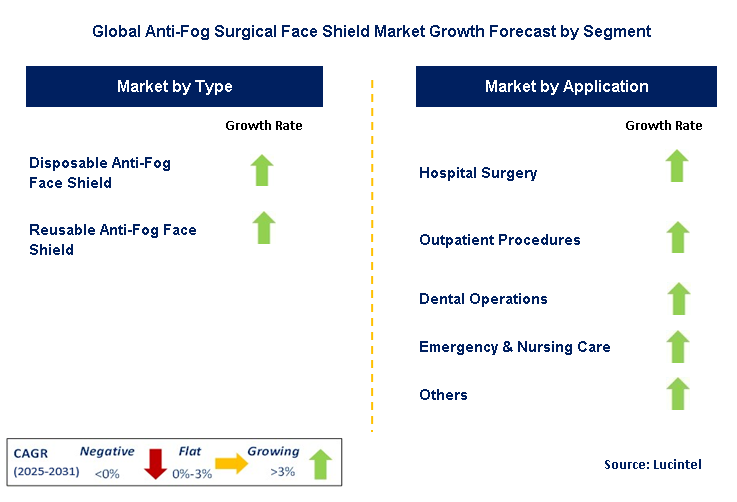 Anti-Fog Surgical Face Shield Market by Segment
