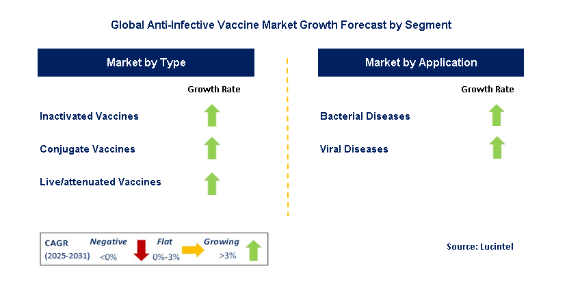 Anti-Infective Vaccine Market by Segment
