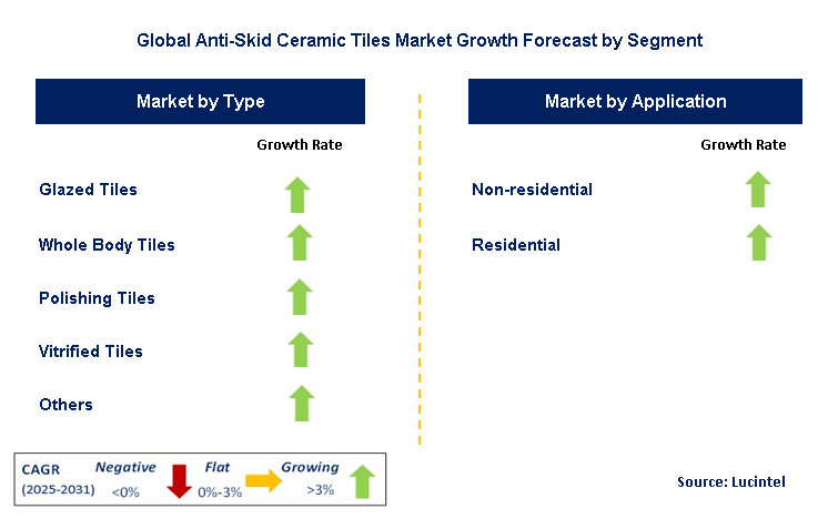 Anti-Skid Ceramic Tiles Market by Segment