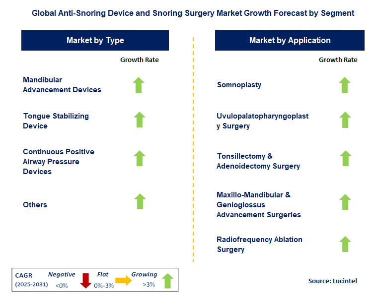 Anti-Snoring Device and Snoring Surgery Market by Segment
