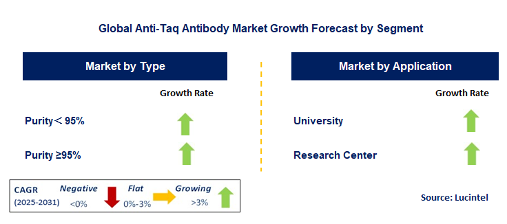 Anti-Taq Antibody Market by Segment
