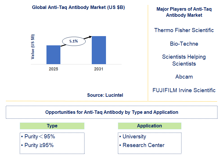 Anti-Taq Antibody Market Trends and Forecast