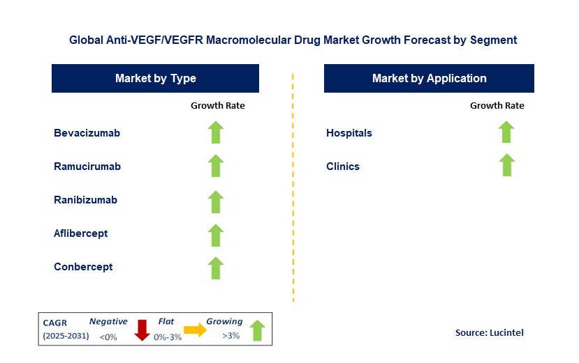 Anti-VEGF/VEGFR Macromolecular Drug Market by Segment