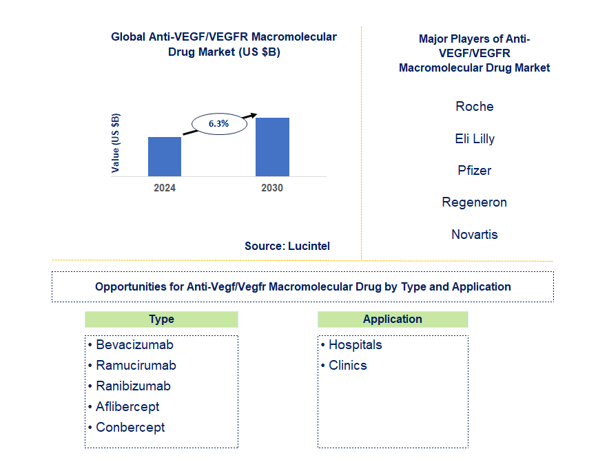 Anti-VEGF/VEGFR Macromolecular Drug Market Trends and Forecast