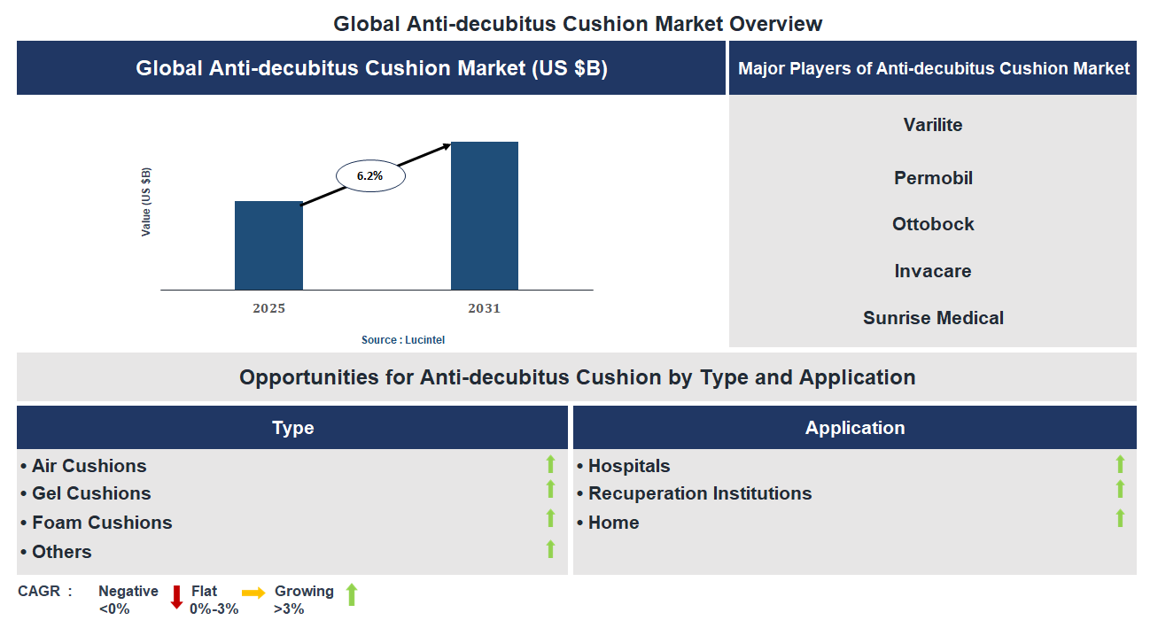 Anti-decubitus Cushion Market Trends and Forecast