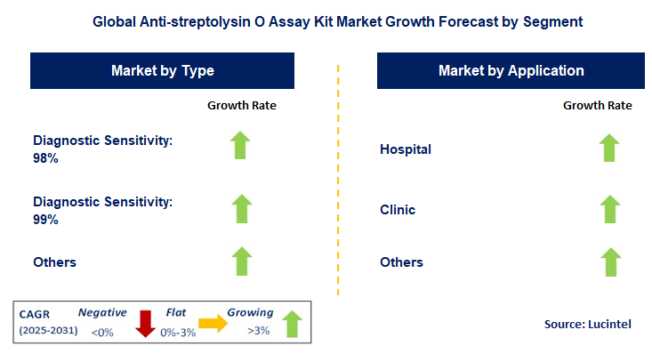 Anti-streptolysin O Assay Kit Market by Segment