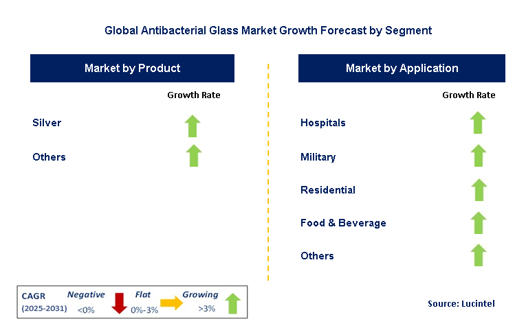 Antibacterial Glass Market by Segment
