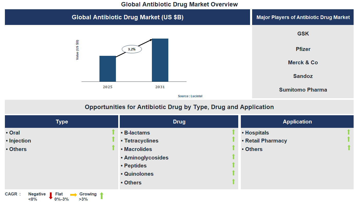 Antibiotic Drug Market Trends and Forecast